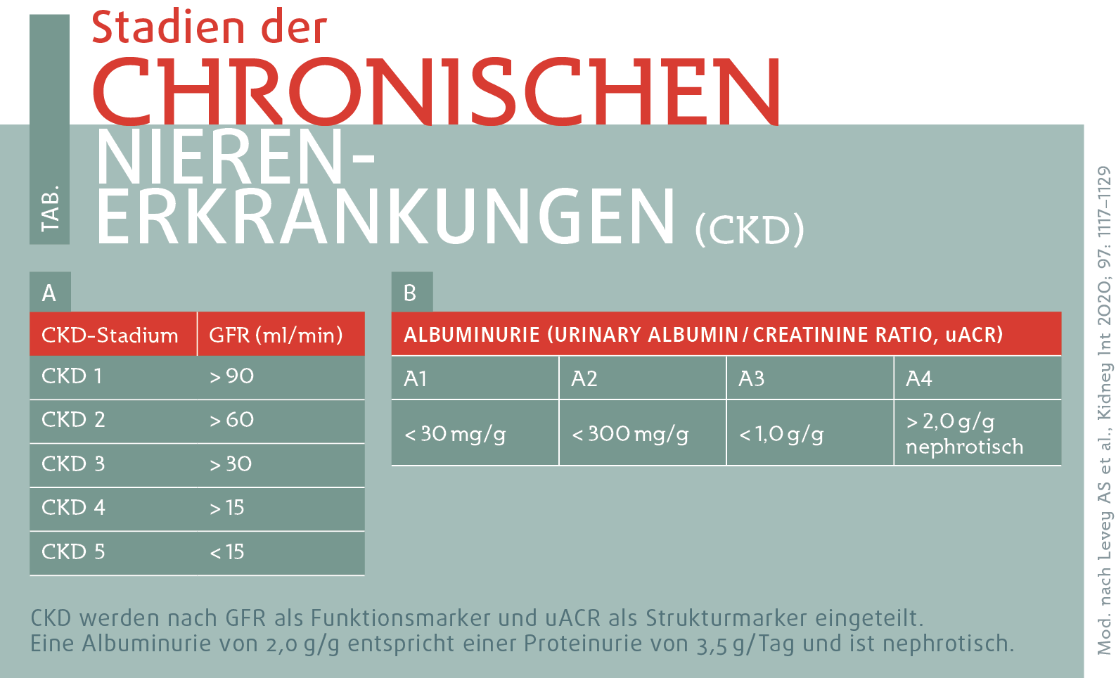 Bei Nierenerkrankungen individuelle Therapieanpassung möglich - DER PRIVATARZT DIGITAL